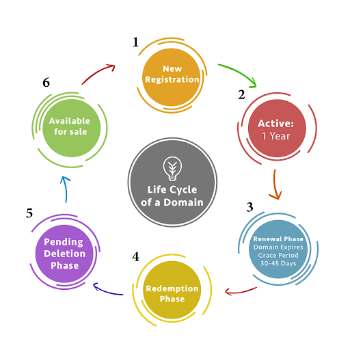 DOMAIN LIFE CYCLE